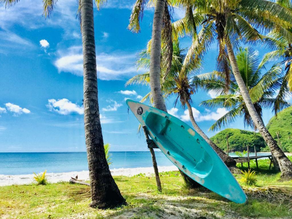 Malakati Village Beach House Naisisili 外观 照片